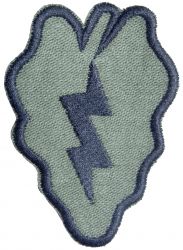 25 Dywizja Piechoty, polowa